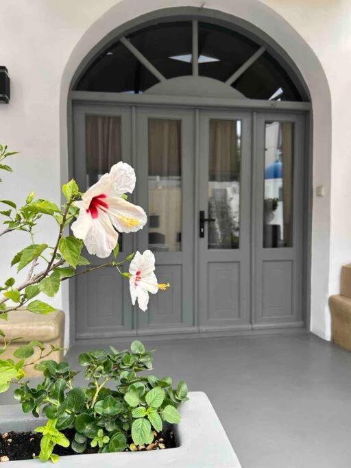 Antoniou Santorini Luxury Home Fira  Eksteriør billede